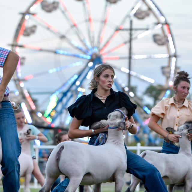 Wyoming State Fair and Rodeo
