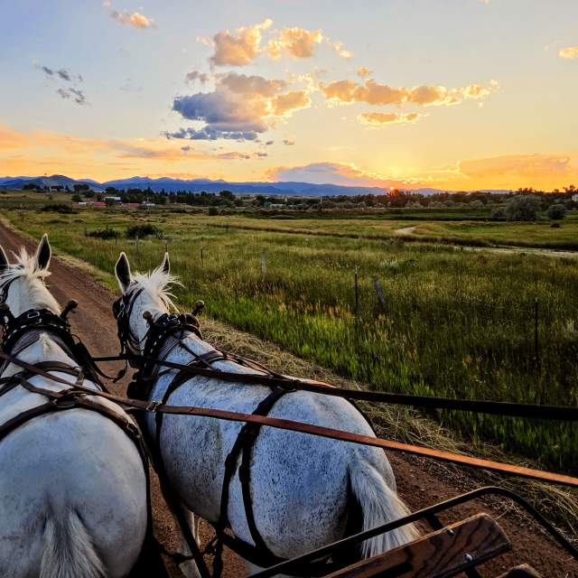 Moon Hitch Wagon Co.