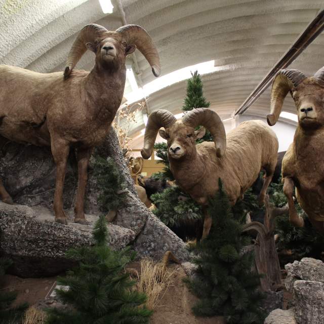 Wind River Heritage Center