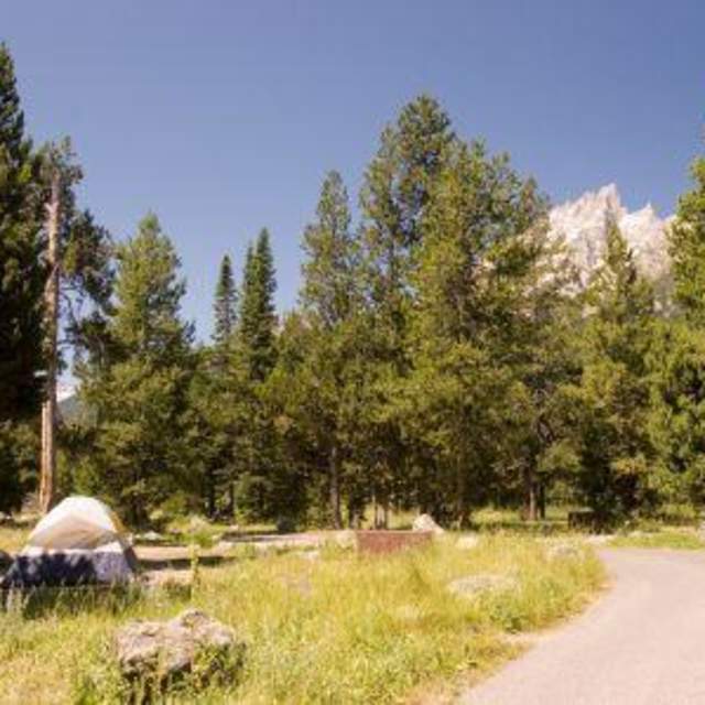 Jenny Lake Campground