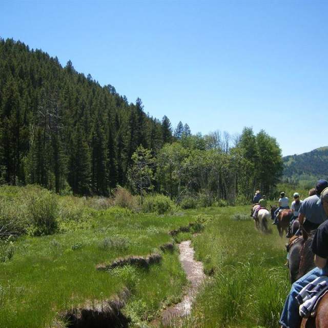 North Fork Trail Rides