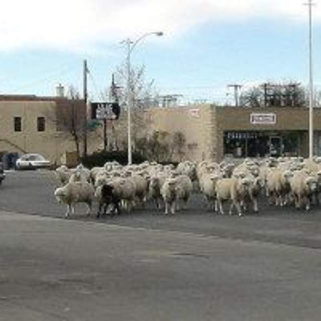 Basin Area Chamber of Commerce