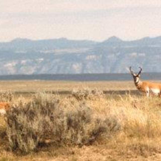 Sweetwater Outfitters