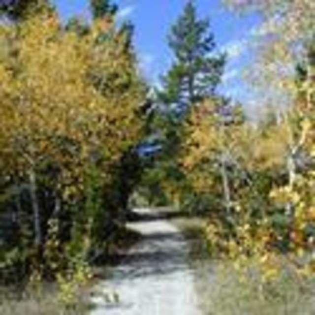 Muddy Mountain Environmental Education Area