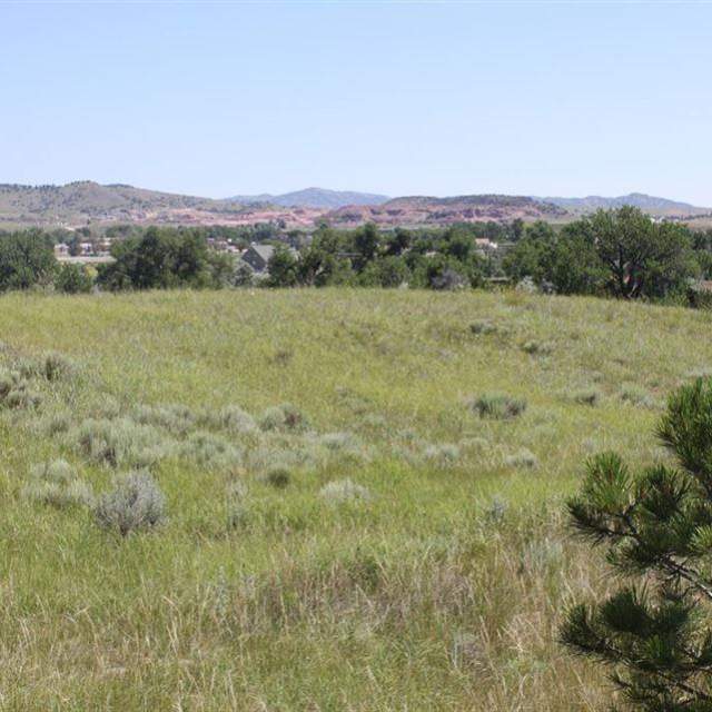Oregon Trail Ruts