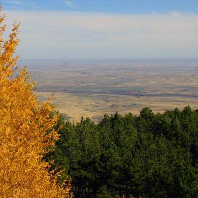 Trails West Outfitters