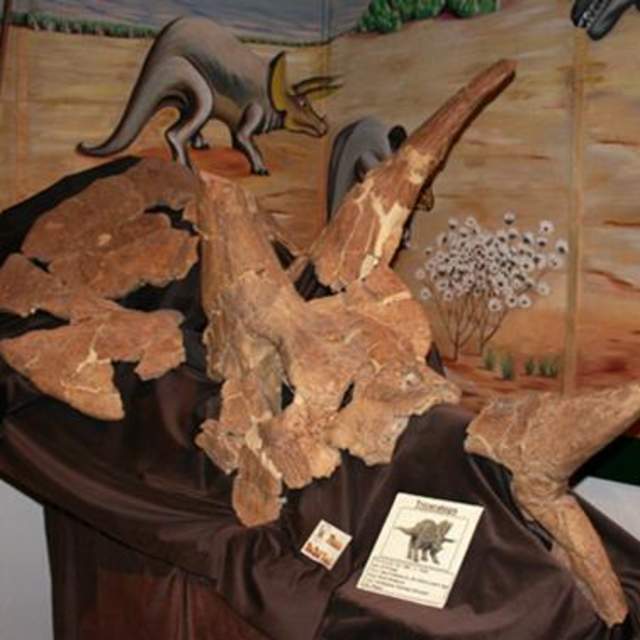 Glenrock Paleontological Museum