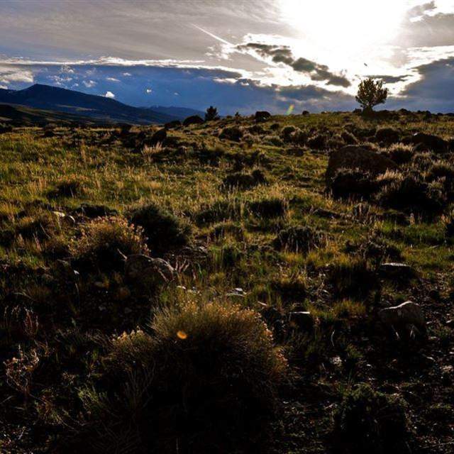 CM Ranch