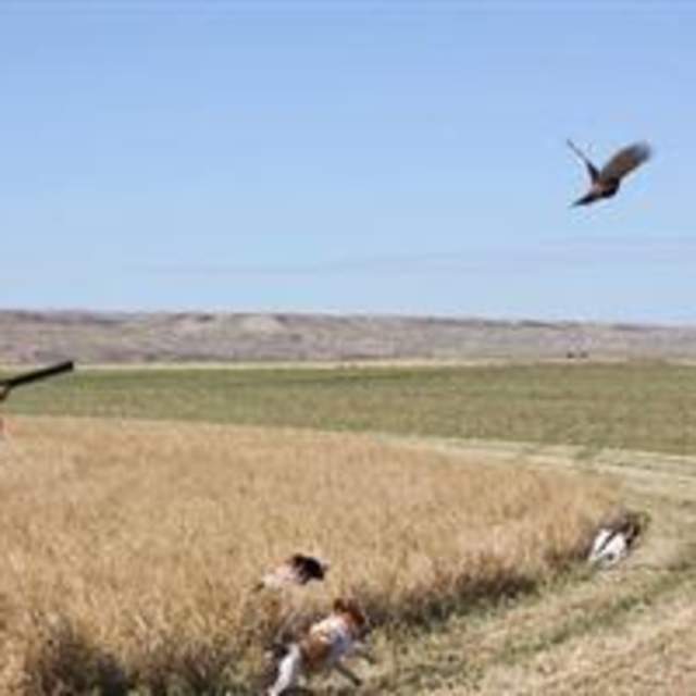 Let it Fly Hunting Club