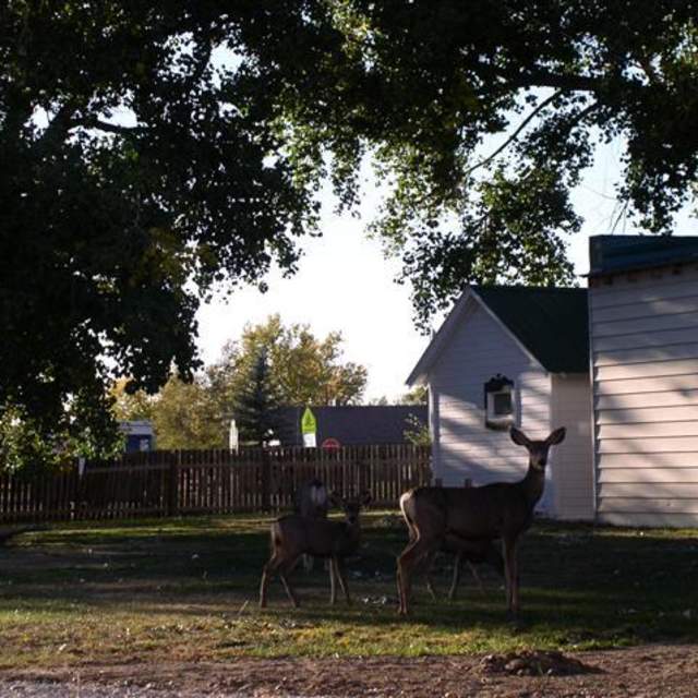 Platte River Cottages