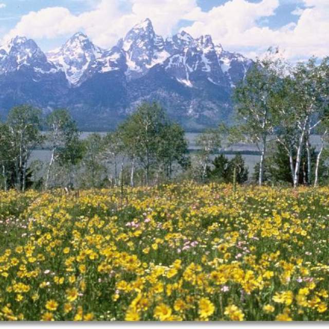 R Lazy S Ranch