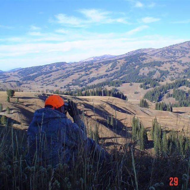 Willow Creek Horseback Rides