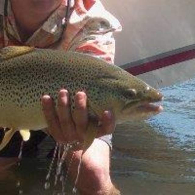 Jackson Hole Anglers