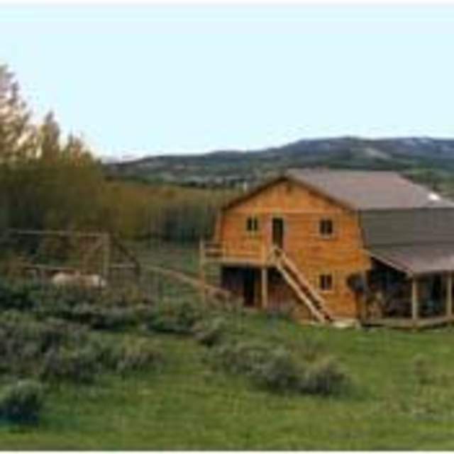 Cow Cabins