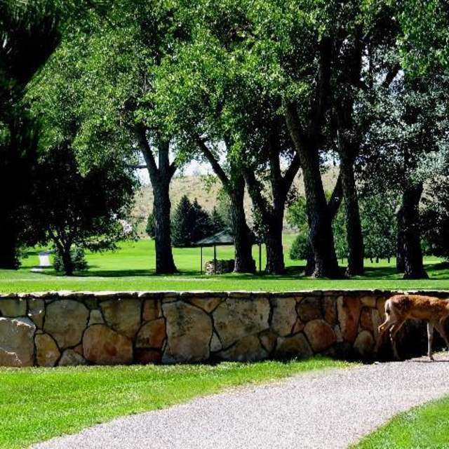 Buffalo Golf Club