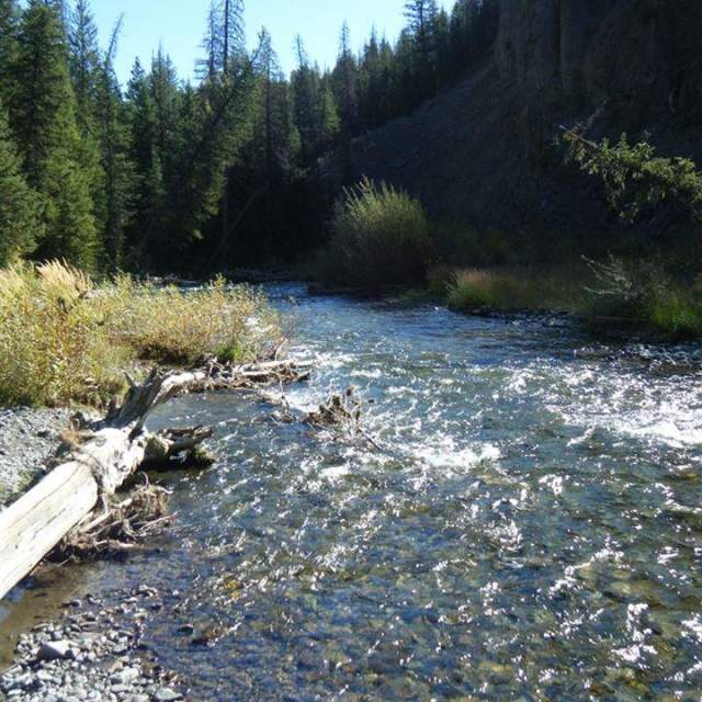 Wood River Campground