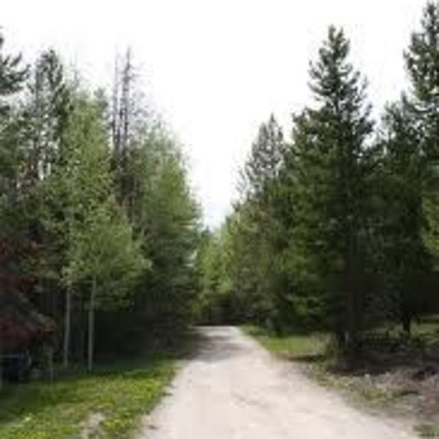 Ryan Park Campground