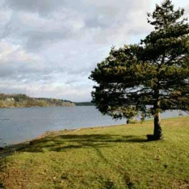 Saratoga Lake Campground & RV Park