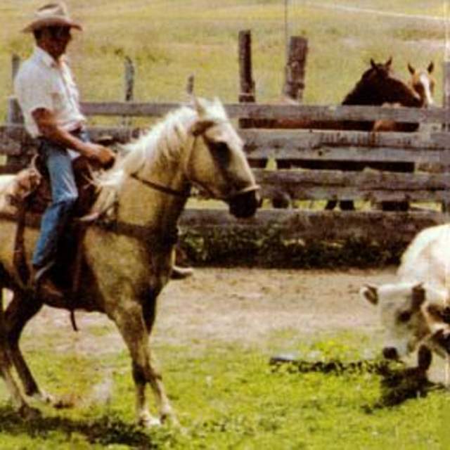 Deer Forks Ranch