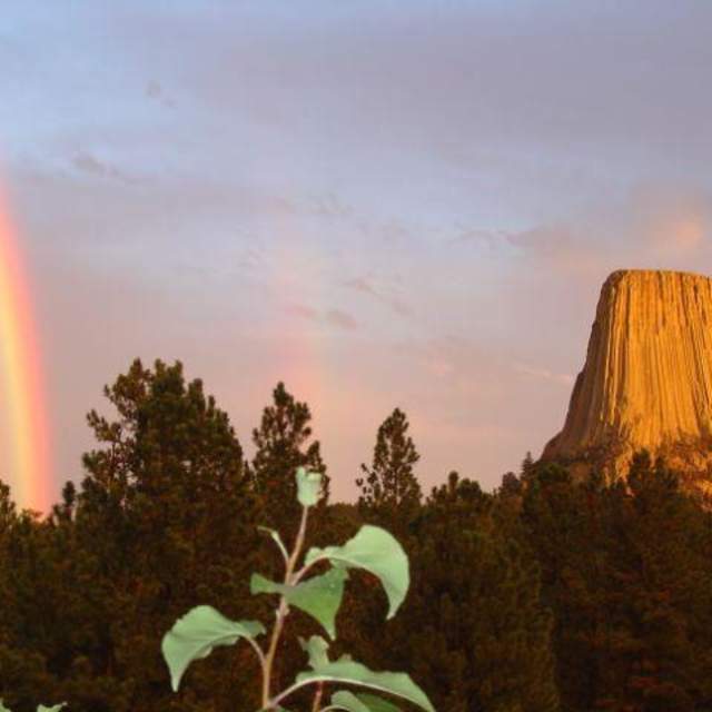 Devils Tower Lodge/B&B & Wilderness Climbing Retreat