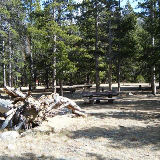 Dickinson Creek Campground