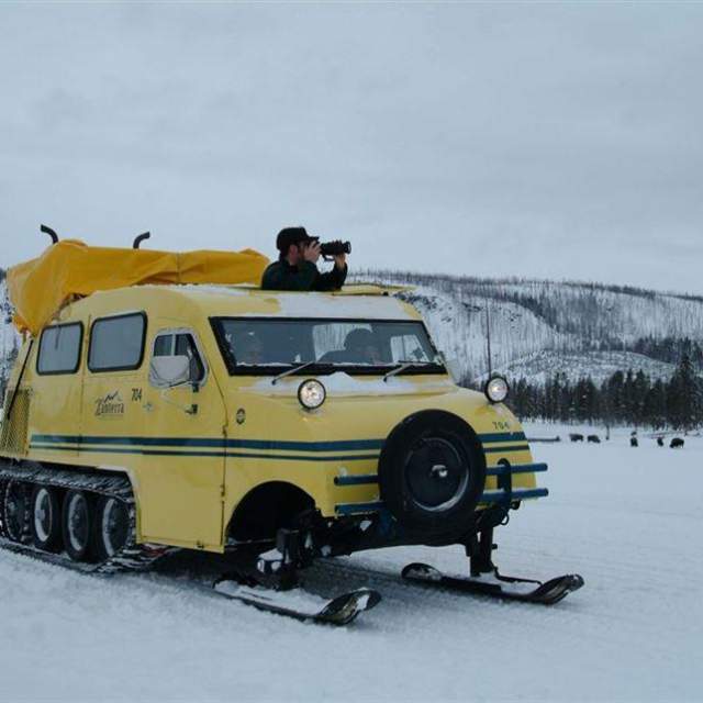 Grand Canyon Snowcoach Day Tour - Winter