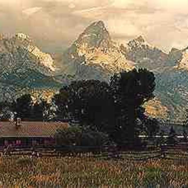 McReynolds Blacktail Cabins