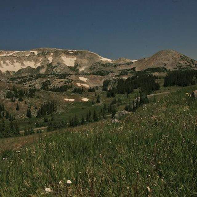 Medicine Bow Lodge and Adventure Guest Ranch