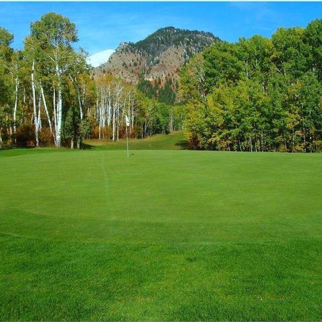 Aspen Hills at the Star Valley Ranch