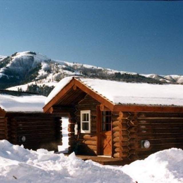 Yellowstone Forever Institute