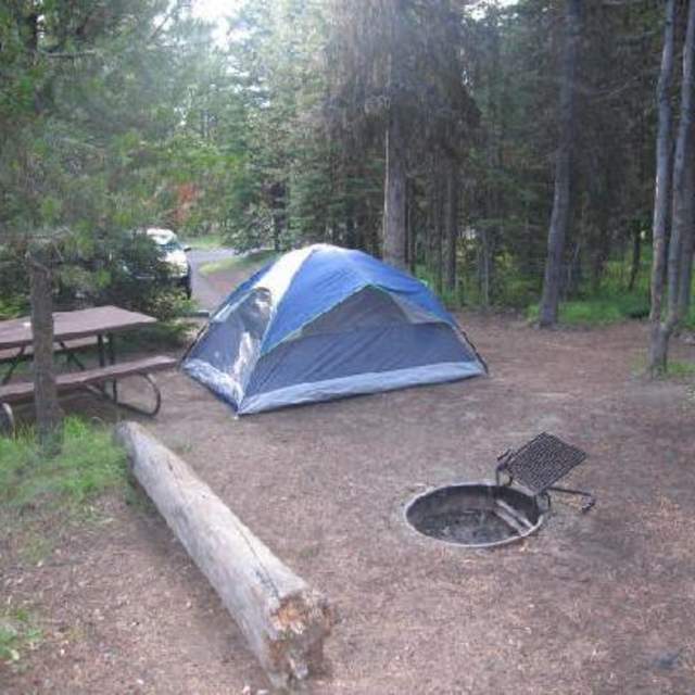 Bearlodge Campground