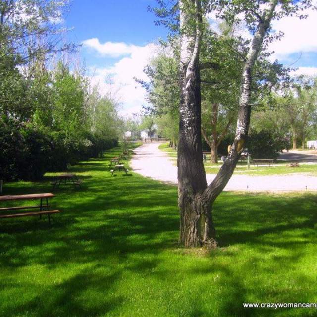 Green Tree's Crazy Woman Campground