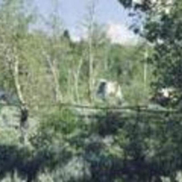 Big Atlantic Gulch Campground