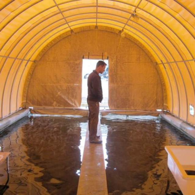 Jackson National Fish Hatchery