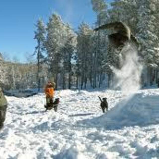 Casper Mountain Park