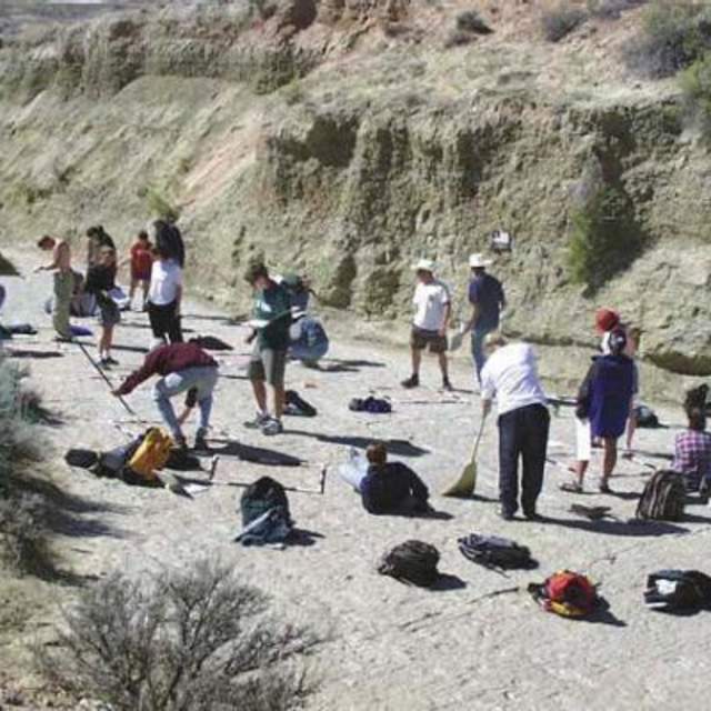 Red Gulch Dinosaur Tracksite