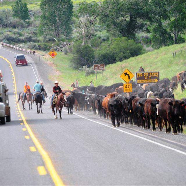 Chief Joseph Scenic Byway