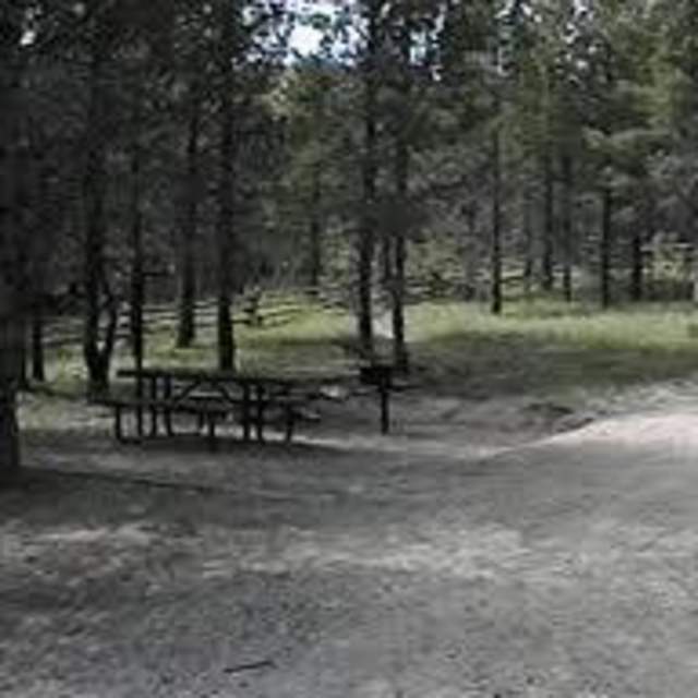 Circle Park Campground - Bighorn National Forest