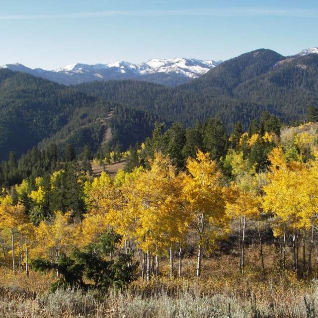 Glamping of Jackson Hole