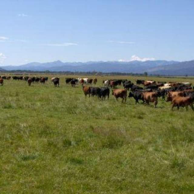 Snake River Ranch