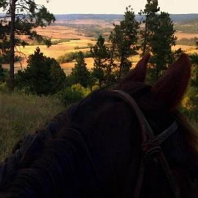 Diamond 7 Bar Guest Ranch