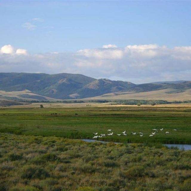 Friend Park Campground