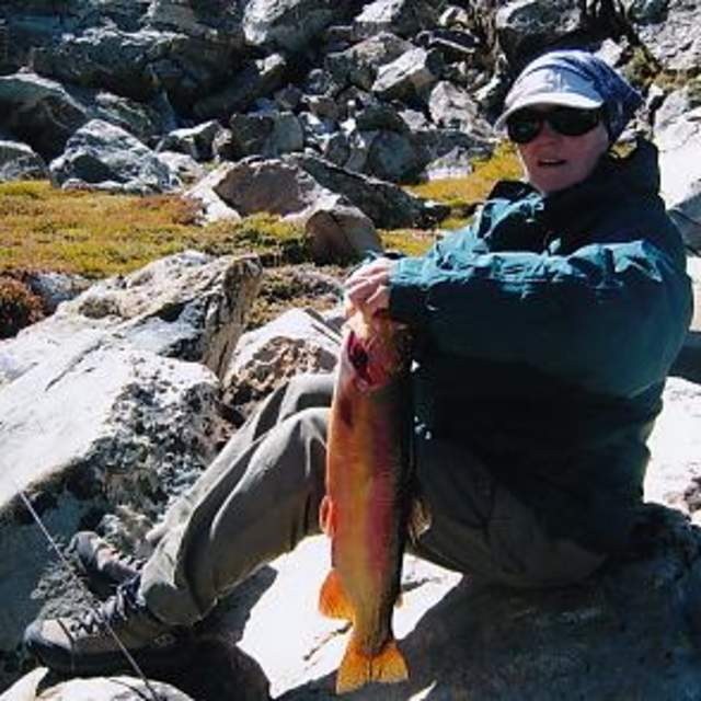 Stetter Outfitters