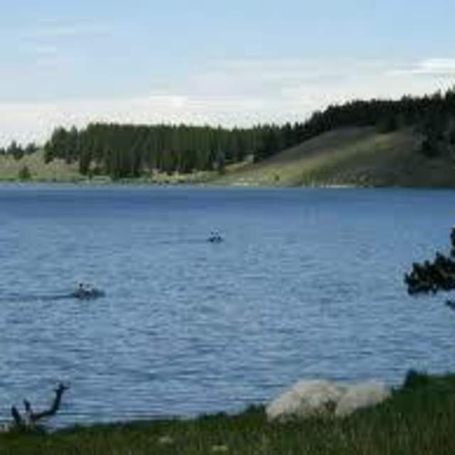 Lake Point Picnic Ground - Bighorn National Forest