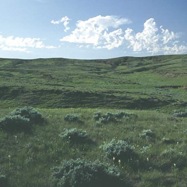 Thunder Basin National Grassland