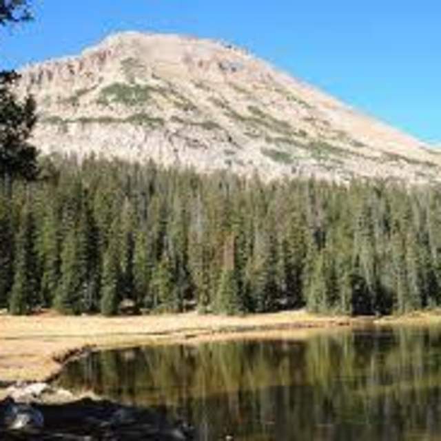 Medicine Lodge Lake Campground - Bighorn National Forest