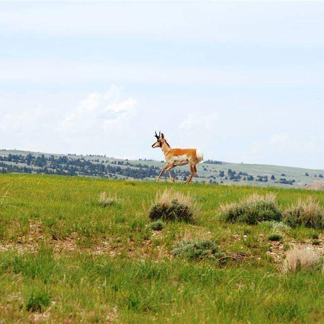 South Big Horn/Red Wall Scenic Backway