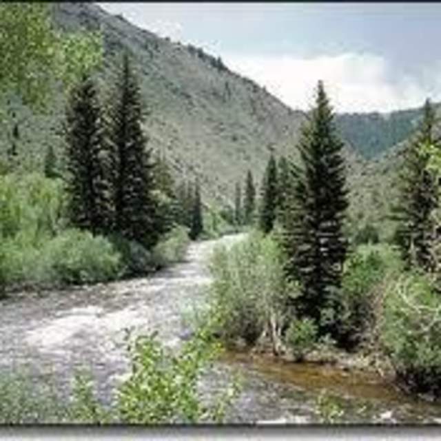 Nash Fork Campground