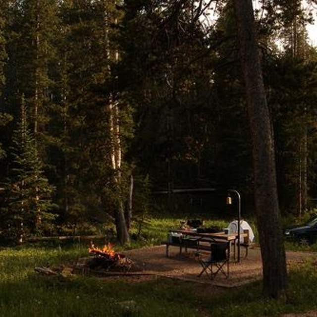 North Tongue Campground - Bighorn National Forest