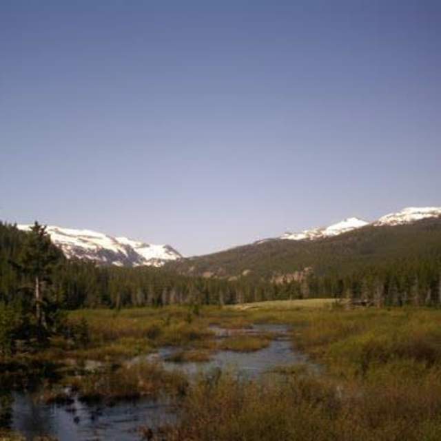 Coffeen Park Trailhead - Bighorn National Forest